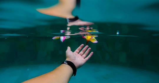 apple watch se wasserdicht