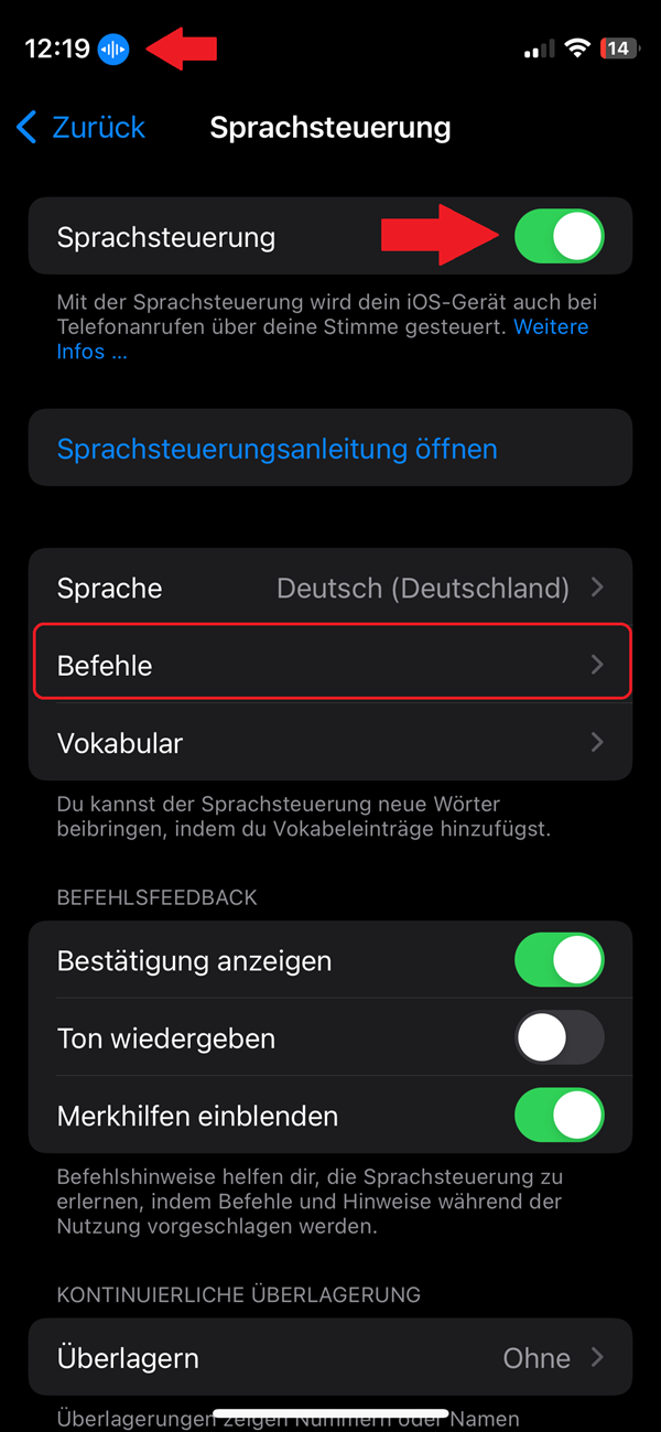 Screenshot von iPhone-Einstellungen in „Sprachsteuerung“ mit roter Markierung von „Befehle“ und zwei roten Pfeilen, die auf den Regler und auf das Zeichen für die aktivierte Sprachsteuerung zeigen.