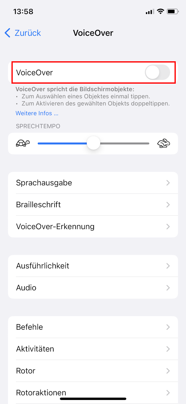 iPhone VoiceOver