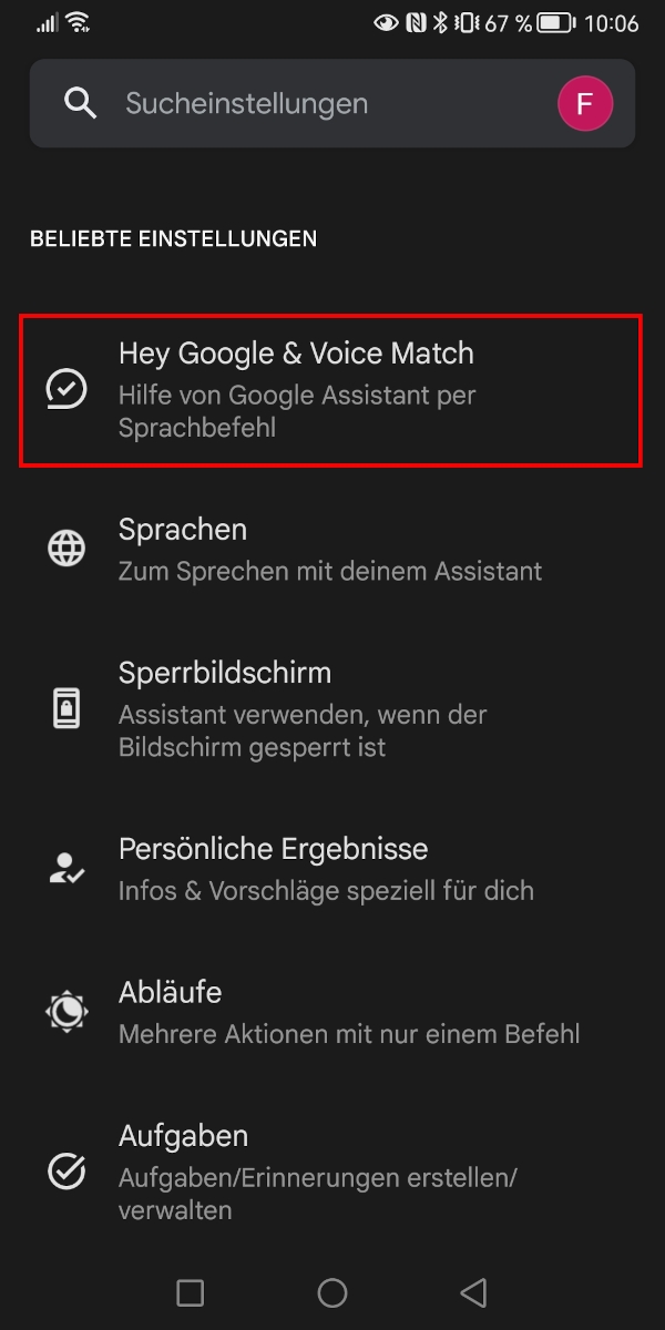 Eintrag „Hey Google & Voice Match“