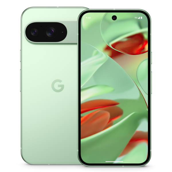 Google Pixel 9 vs. Samsung S24 Pixel 9 Design