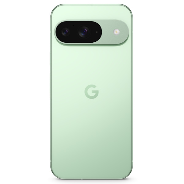 Google Pixel 9 vs. iPhone 15: Kamera Pixel 9