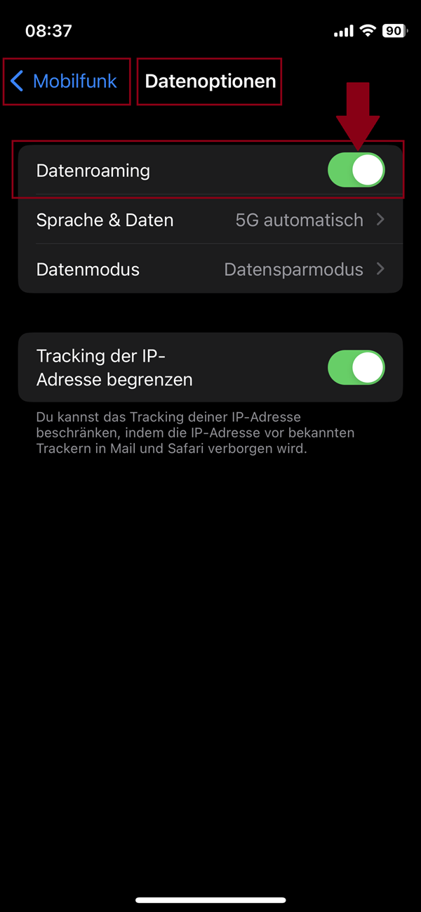 Screenshot vom iPhone im Menü „Datenoptionen“ zum Aktivieren des Datenroamings.