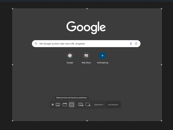 Screenshot MacBook Option ausgewählter Bereich