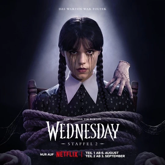 Bild zur zweiten Staffel der Serie Wednesday. Man sieht Wednesday mit Zöpfen und ernstem Blick 