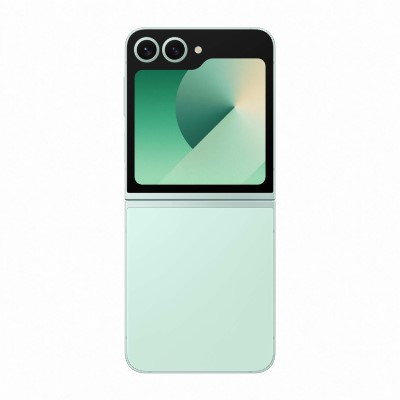 Samsung Z Flip6 vs. 7 Farbe Z Flip6 Mint