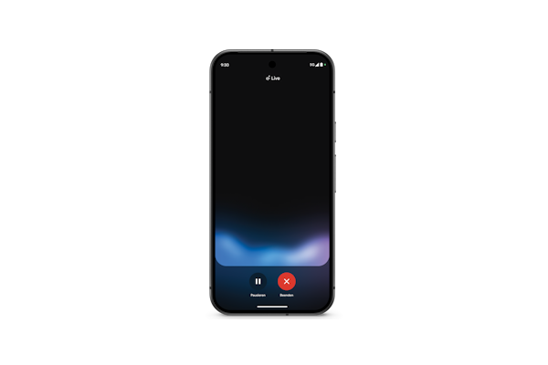 Google Pixel 9 vs. 10 Display Pixel 9