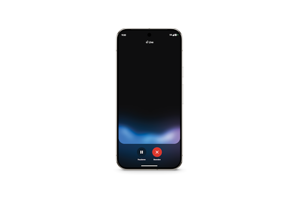 Google Pixel 9 Pro vs. 10 Pro Display Pixel 9 Pro