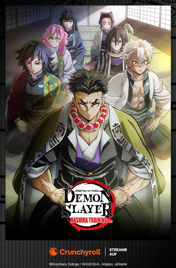 Vorteil Crunchyroll Cover von Demon Slayer
