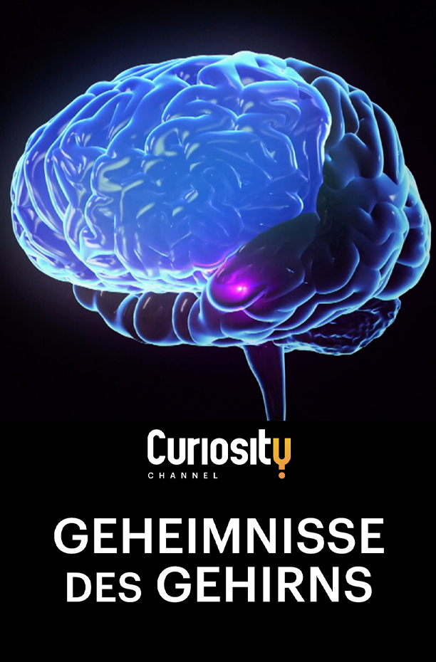 Geheimnisse des Gehirns