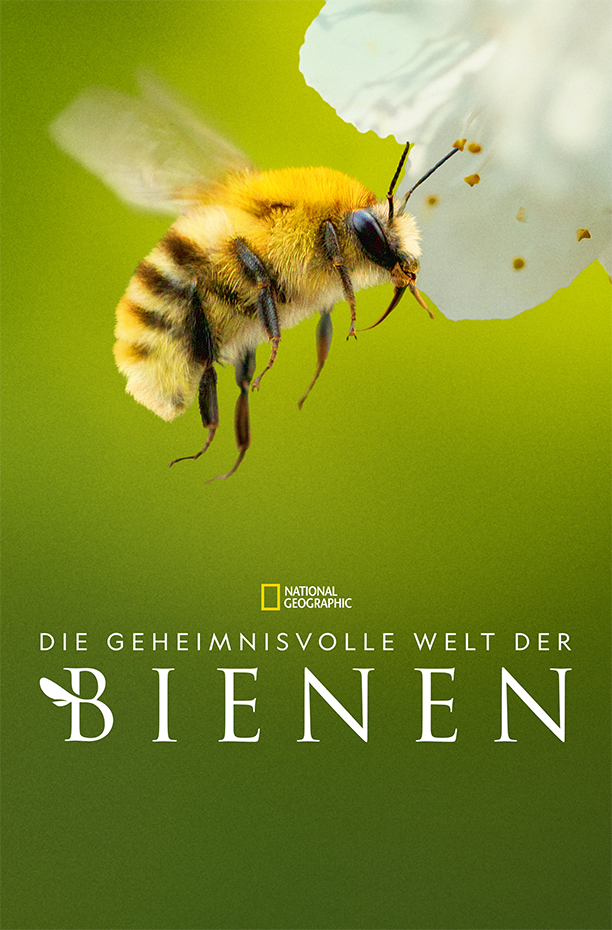 Die geheimnisvolle Welt der Bienen