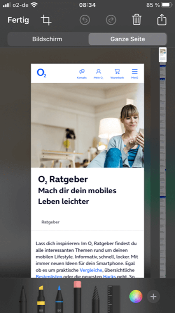 Auswahlmöglichkeiten beim Speichern einer ganzen Webseite: „Ganze Seite“