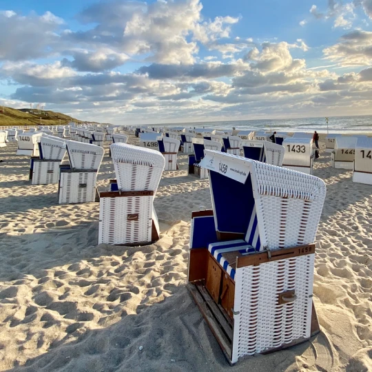 Viele typische Strandkörbe am Strand der Nordsee 