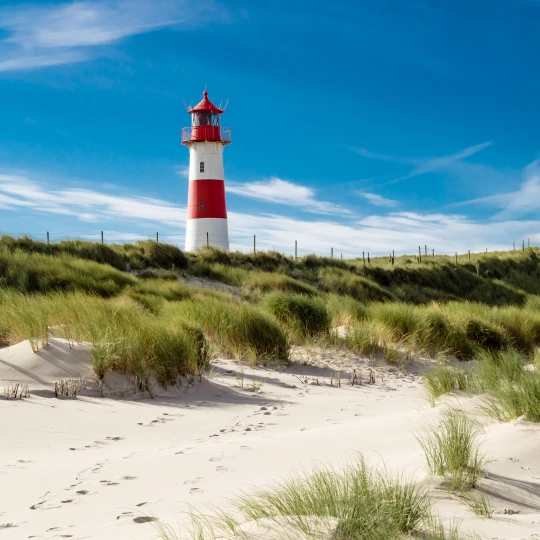  Leuchtturm zwischen Gräsern und Sand an einem hügeligen Nordsee-Strand. im Hintergrund strahlend blauer Himmel 