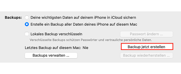 Backup-Schaltfläche „Backup jetzt erstellen“