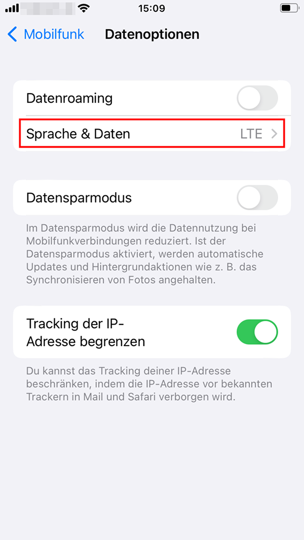 iPhone-Menü „Datenoptionen“