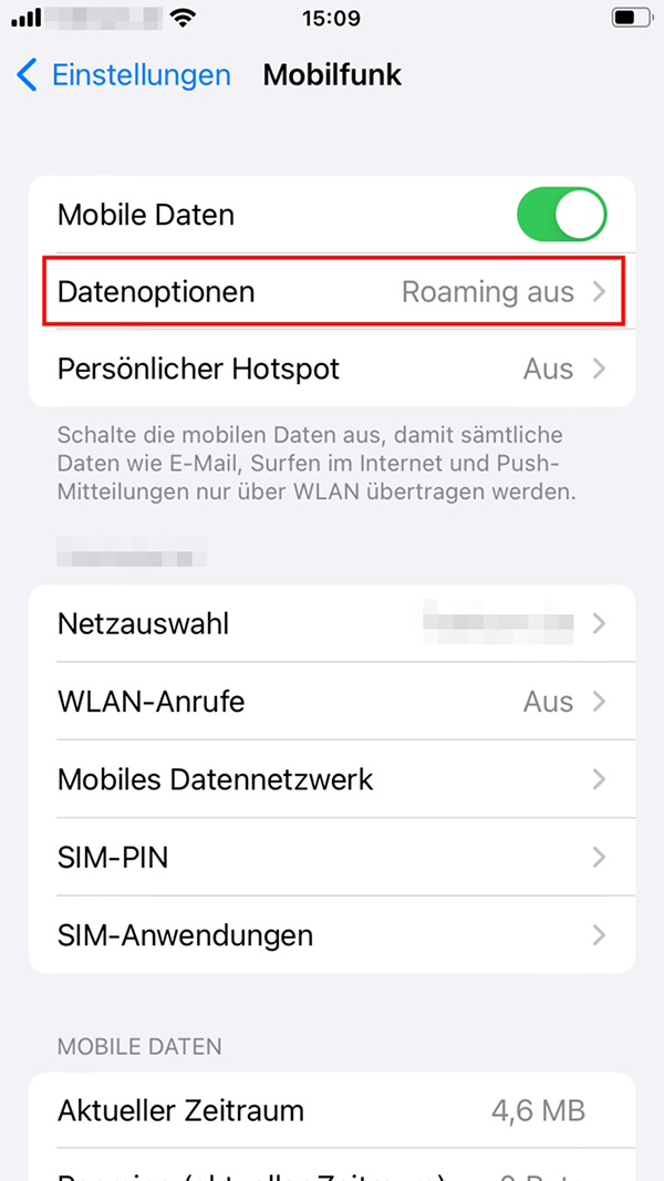 „Datenoptionen“ im „Mobilfunk“-Menü von iOS