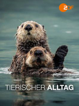 Plakat zu Tierischer Alltag