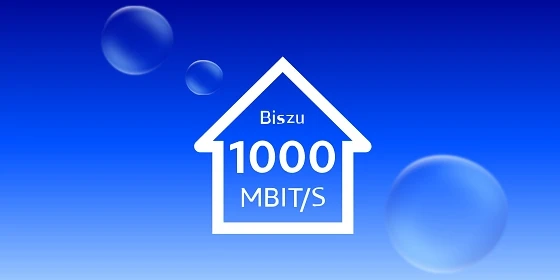 Auch beim Wechsel immer online, bis zu 1000 MBit/s.