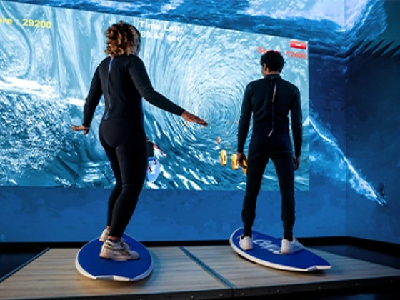 Der Surf-Simulator