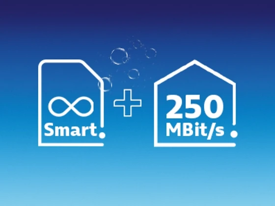 o2 Home L + Unlimited Smart 250 MBit/s