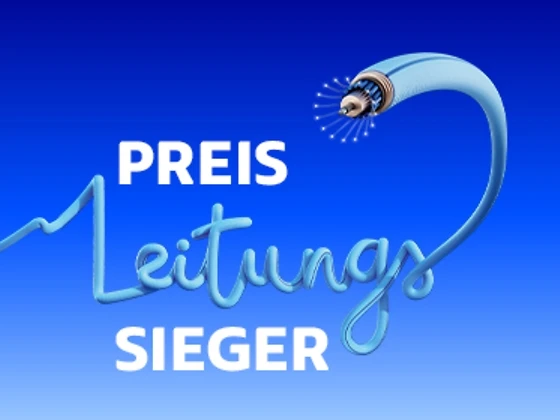 Glasfaser vom Preis Leitungssieger