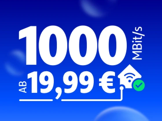  1000 MBit/s ab 19,99 €
